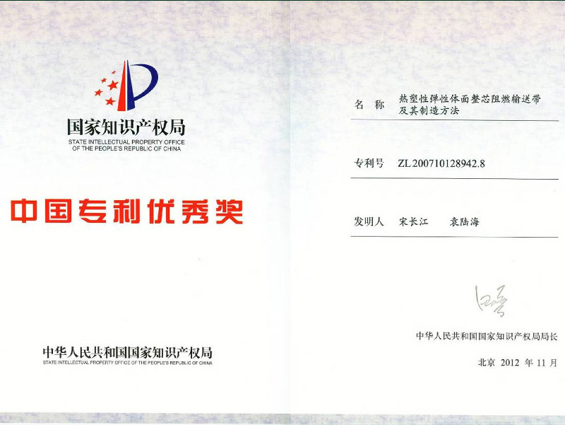 中国专利优秀奖
