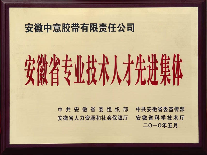 安徽省专业技术人才先进集体