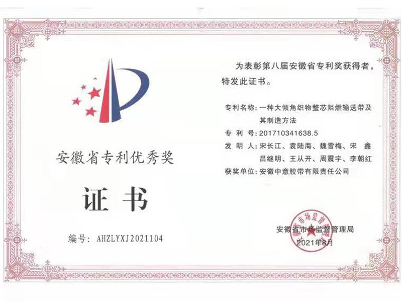 安徽省专利优秀奖