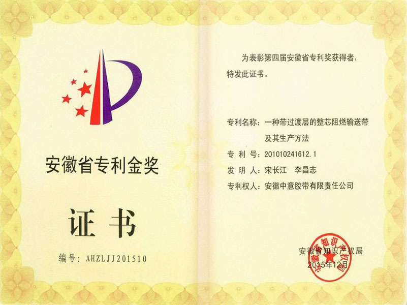 安徽省专利金奖证书