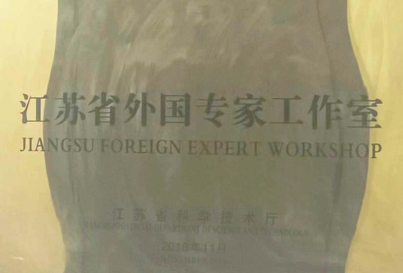 外国专家工作室 外国专家工作室