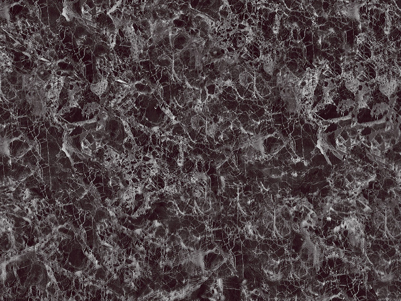 Printing Plate