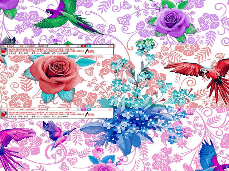 Two color print