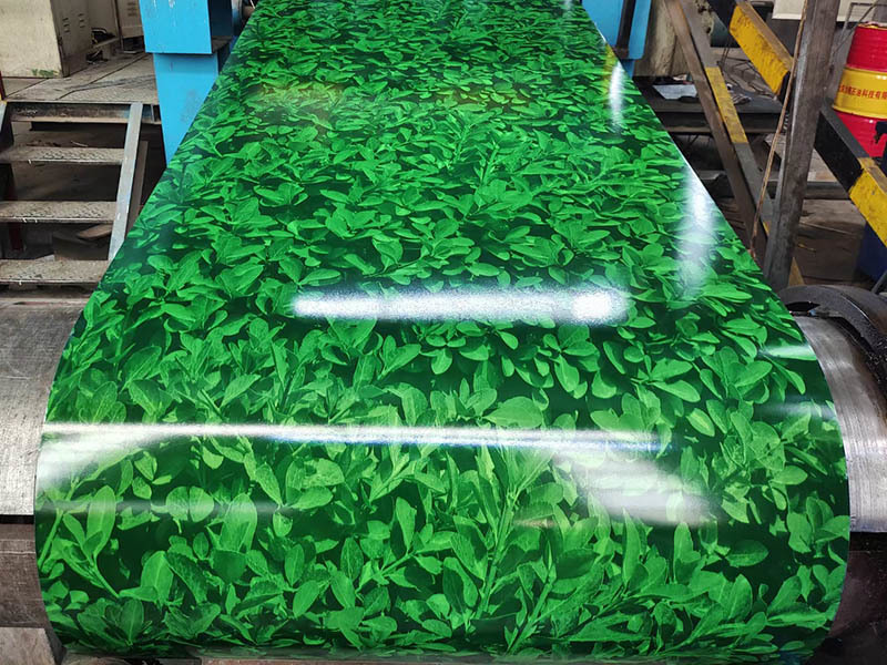 Printing Plate