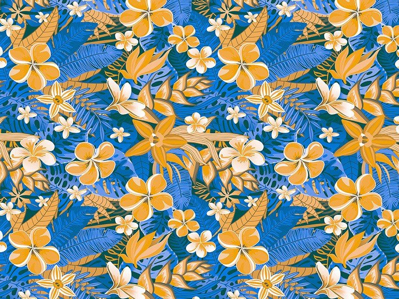 Two color print