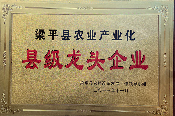 縣級(jí)龍頭企業(yè)