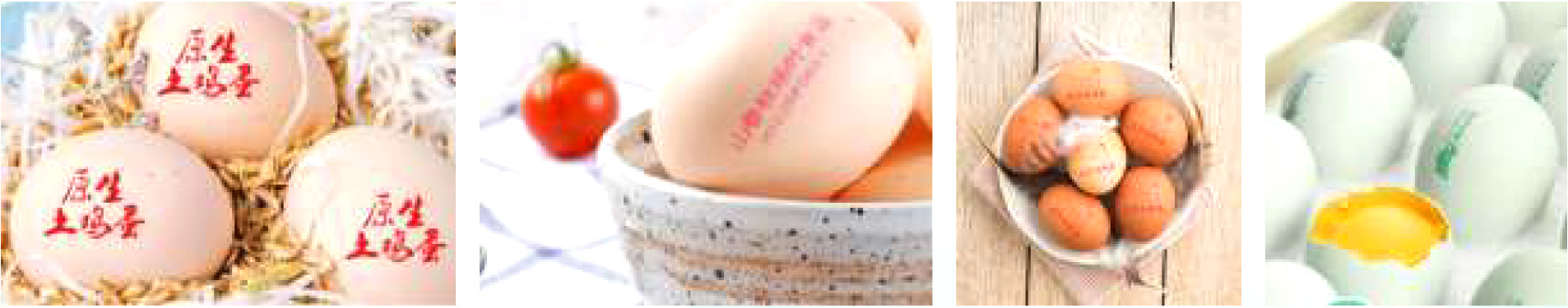 WL330 egg inkjet printer