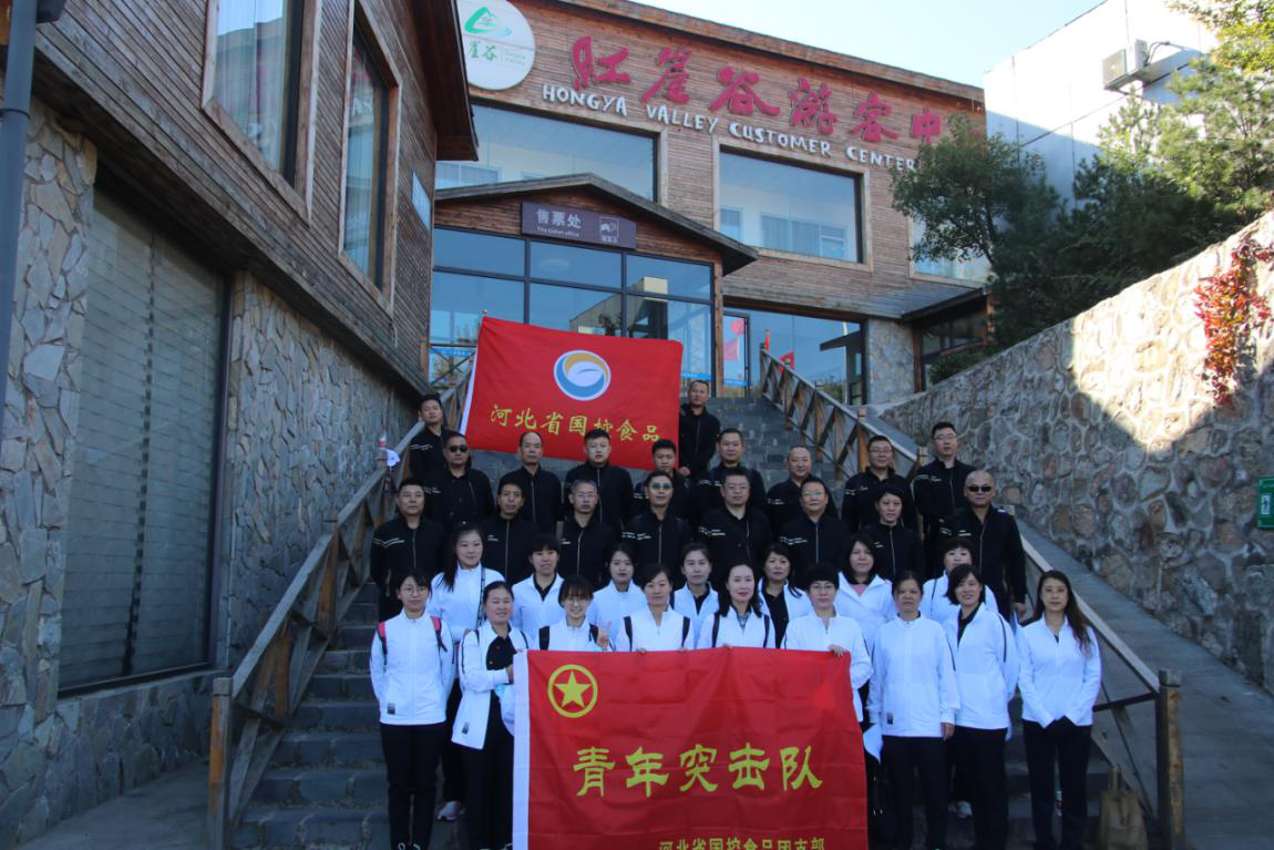 健康生活、快乐工作、勇攀高峰必赢net.95公司开展登山活动