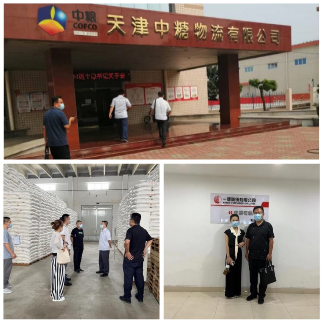 推进食糖业务调研，助力大宗业务开展