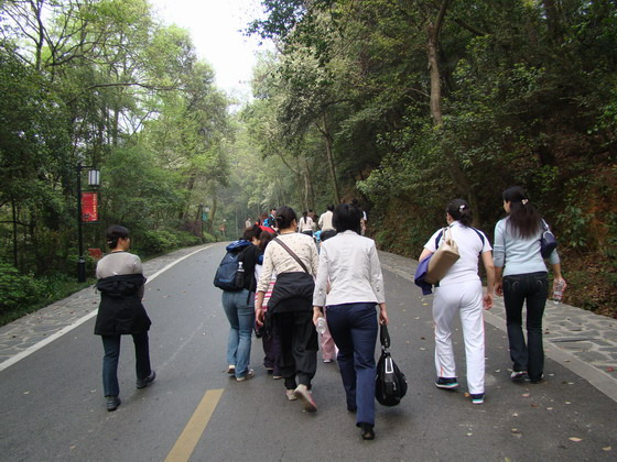 化工設(shè)計(jì)院