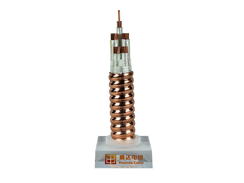 YTTW-0.6/1KV