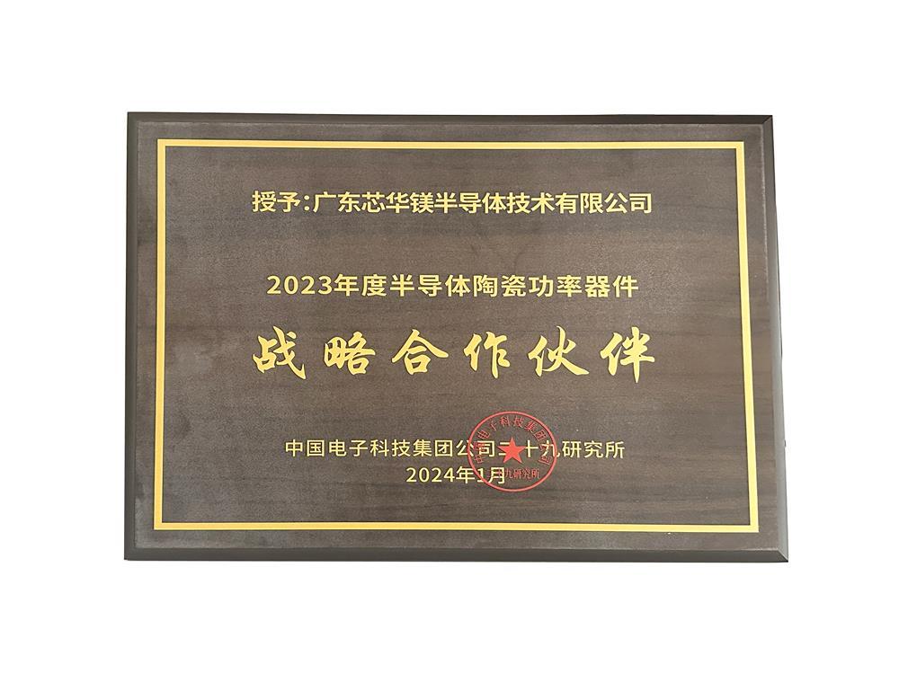 战略合作伙伴 战略合作伙伴