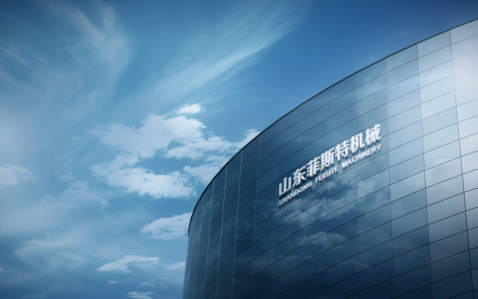 Shandong Feisite Machinery