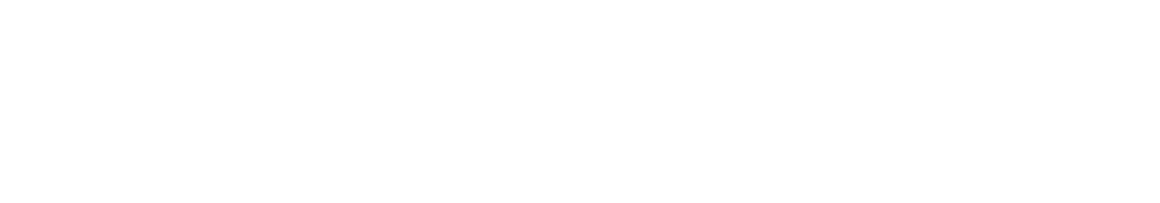 feisite