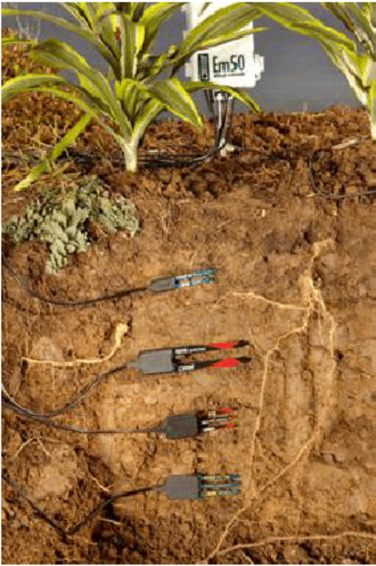 土壤温度、水分、电导率测定系统