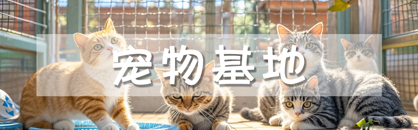 宠物基地