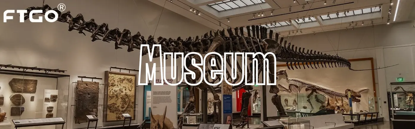 Museum Museum