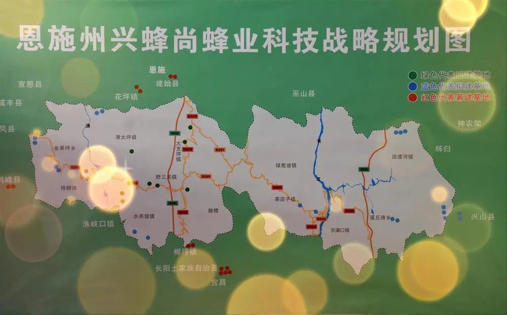 小蜜蜂釀出大產(chǎn)業(yè)！巴東招風(fēng)臺村四組鄭開緒的心里眼里裝的都是糖……