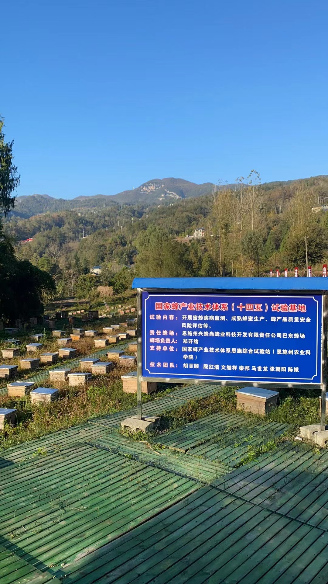 小蜜蜂釀出大產(chǎn)業(yè)！巴東招風(fēng)臺村四組鄭開緒的心里眼里裝的都是糖……