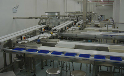 Biscuit secondary packaging semi-automatic lower tray system