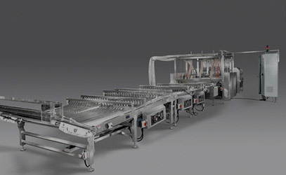 Cookie automatic loading tray canning sealing system