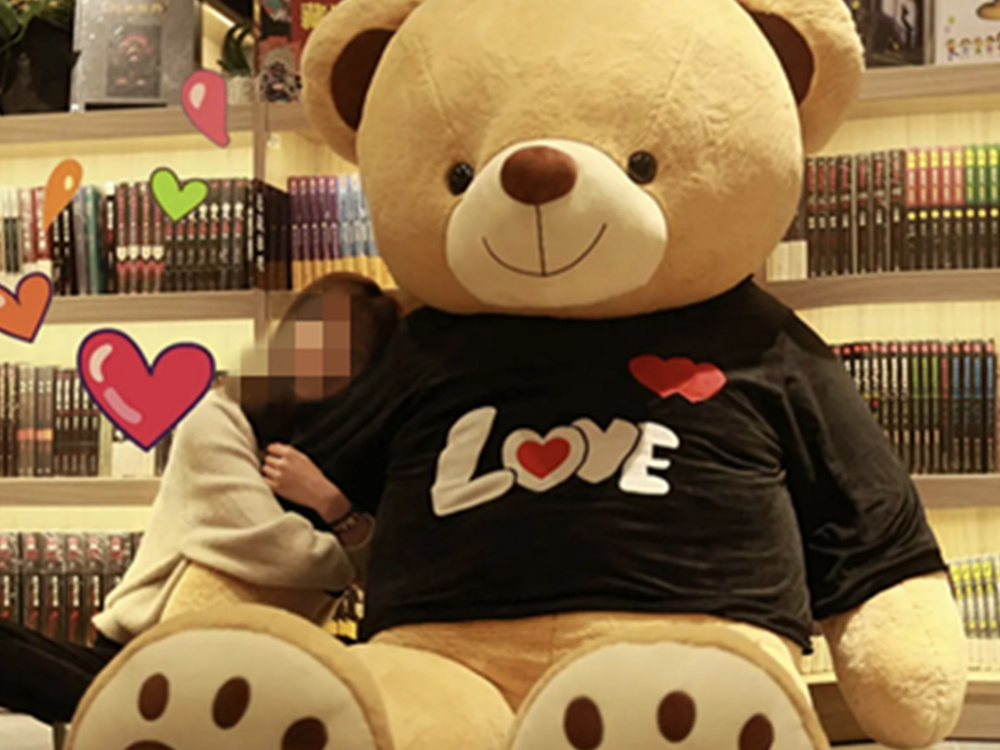 Plush Toy