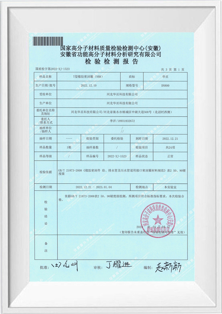 Test Report