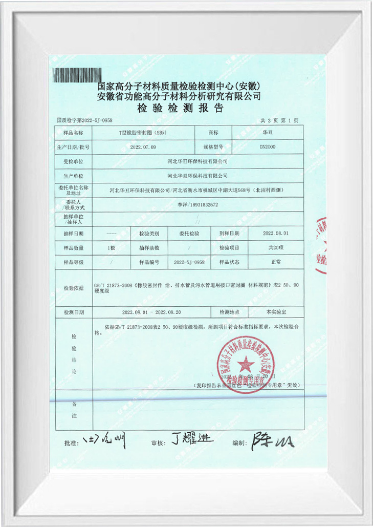 Test Report