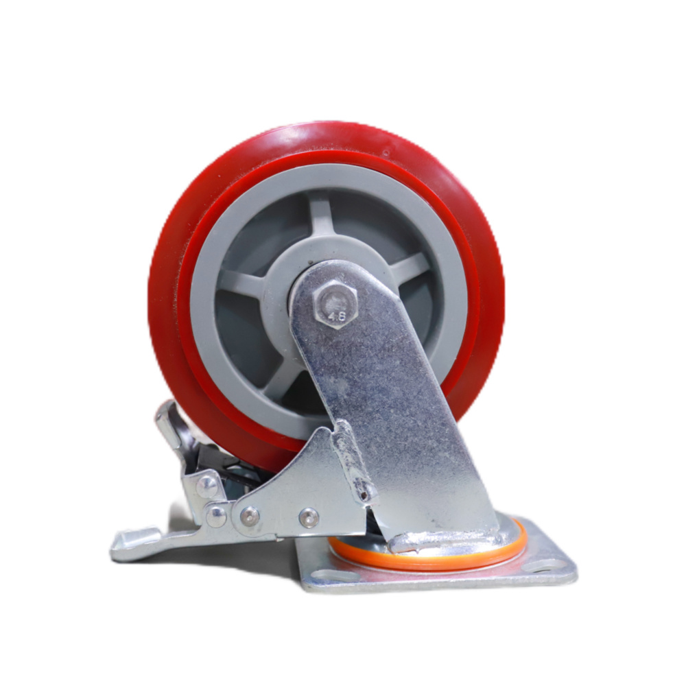 Medium universal caster