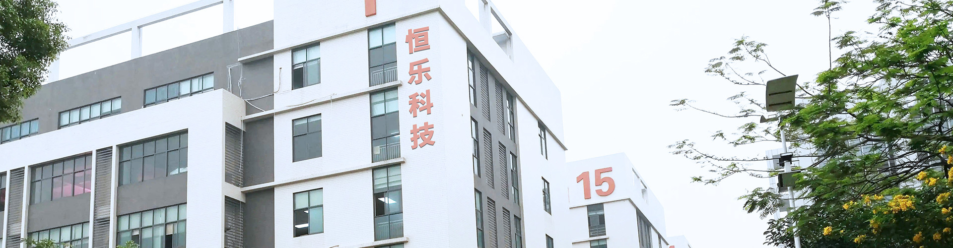 Company establishment Company establishment