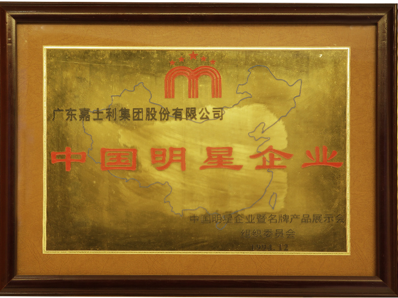 1994年“中国明星企业”认定