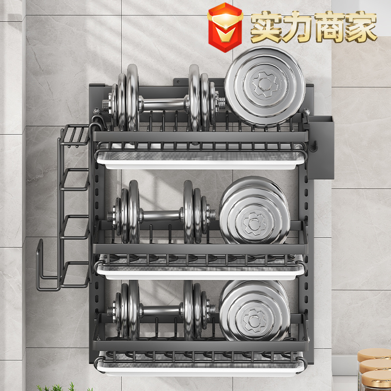 1025 wall-mounted dish rack