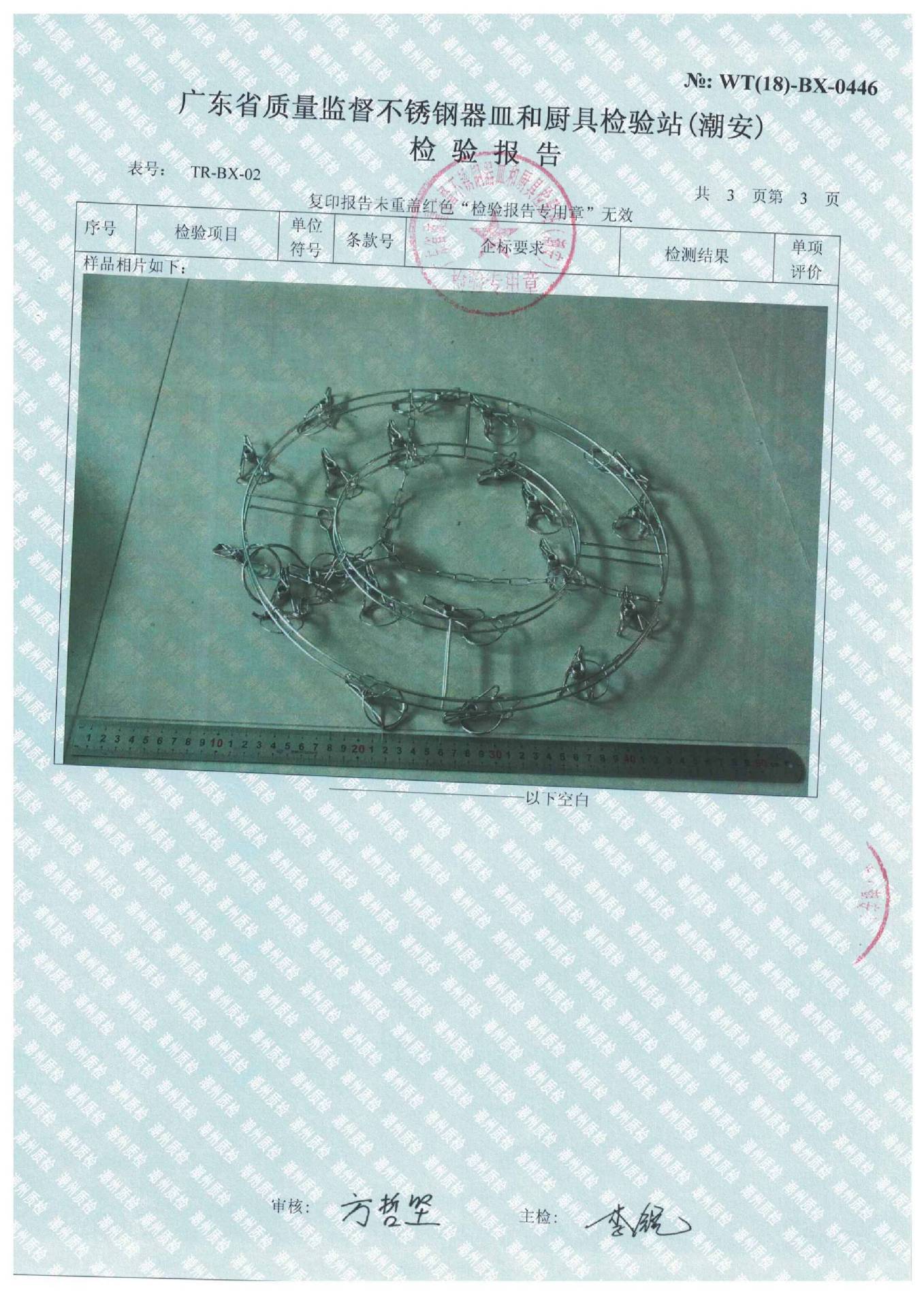 Test Report