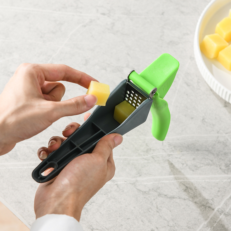 1110 Garlic Press