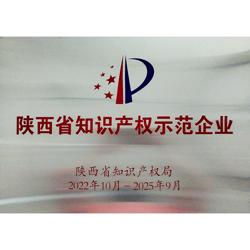 陕西省知识产权示范企业