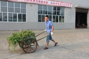 湖南天能电机制造有限公司