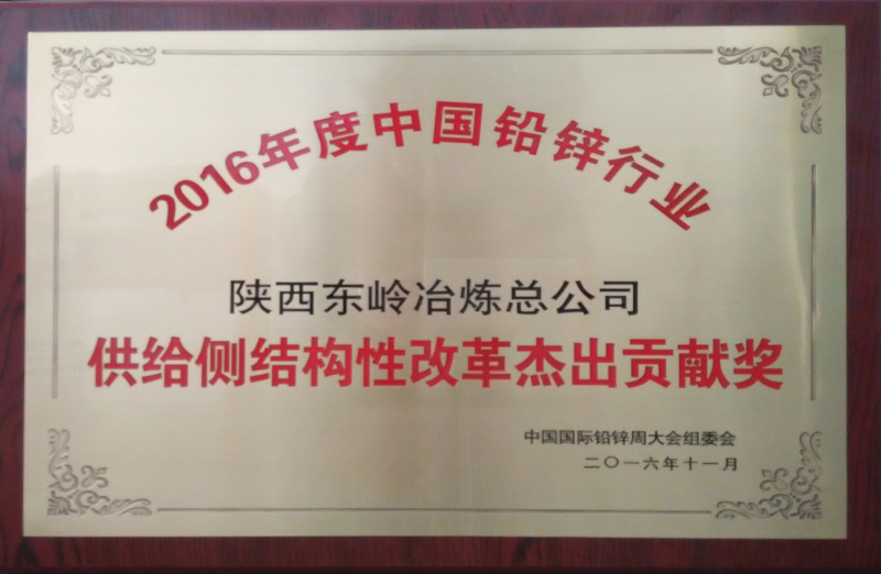 Outstanding Contribution Award for Supply-side Structural Reform of China's Lead and Zinc Industry