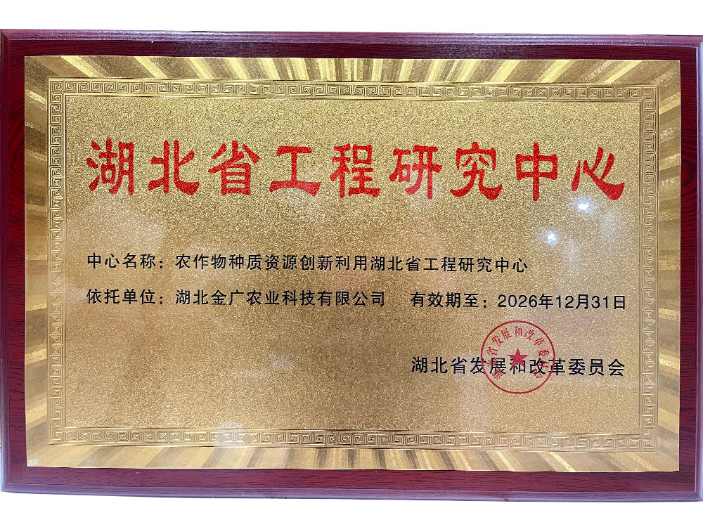 湖北省工程研究中心