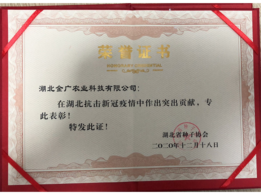 抗擊疫情重大突出獎(jiǎng)