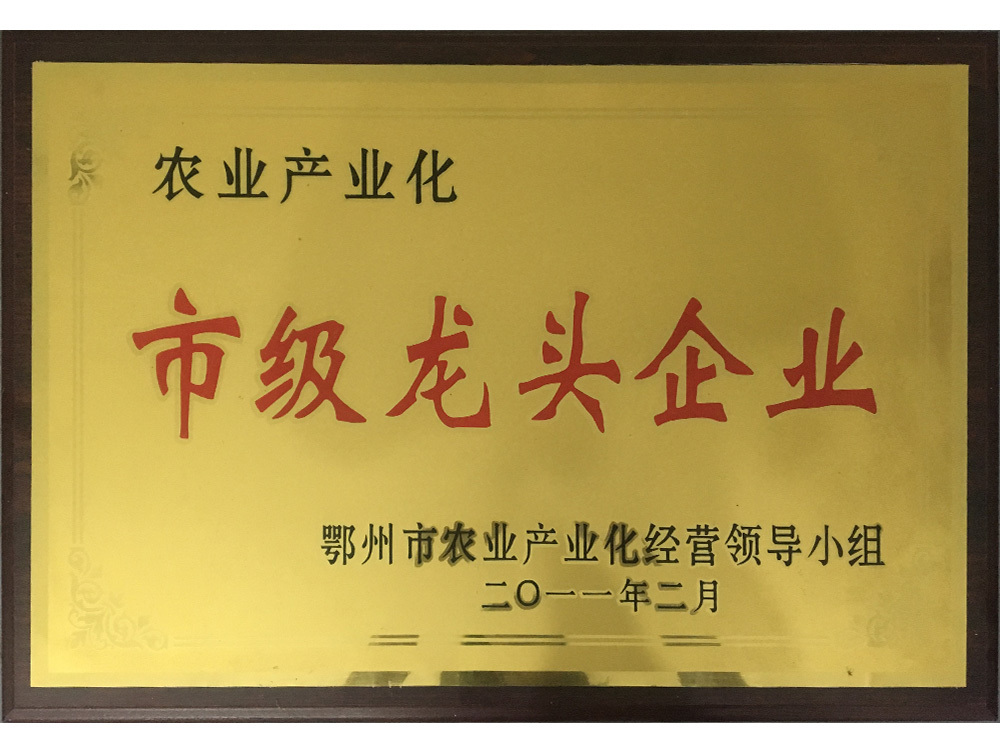 鄂州市龍頭企業(yè)