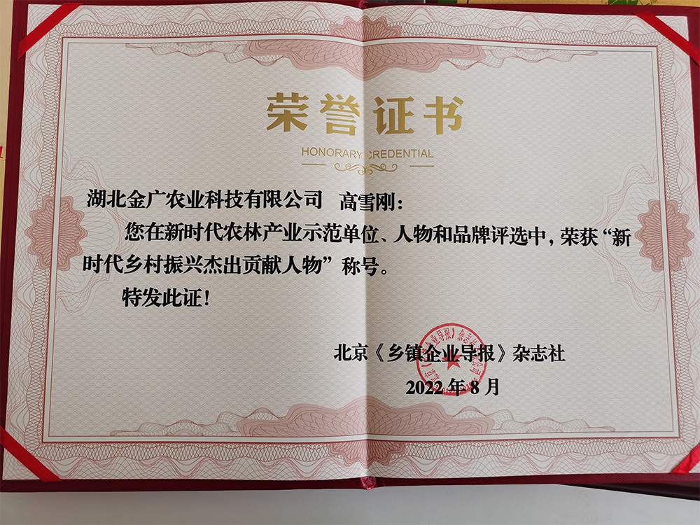 新時(shí)代鄉(xiāng)村振興杰出貢獻(xiàn)人物