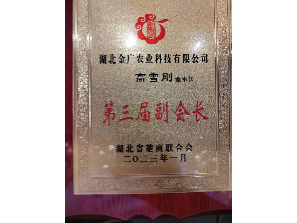 湖北省楚商聯(lián)合會(huì)第三屆副會(huì)長(zhǎng)