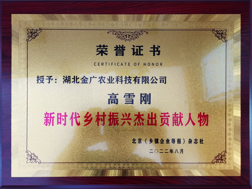 新時(shí)代鄉(xiāng)村振興杰出貢獻(xiàn)人物