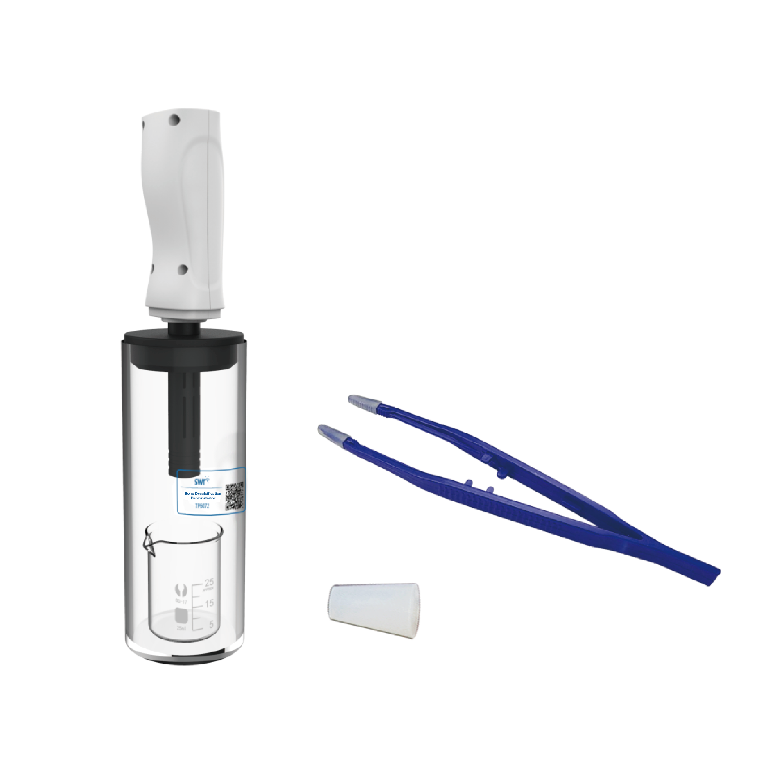 Bone Decalcification Demonstrator