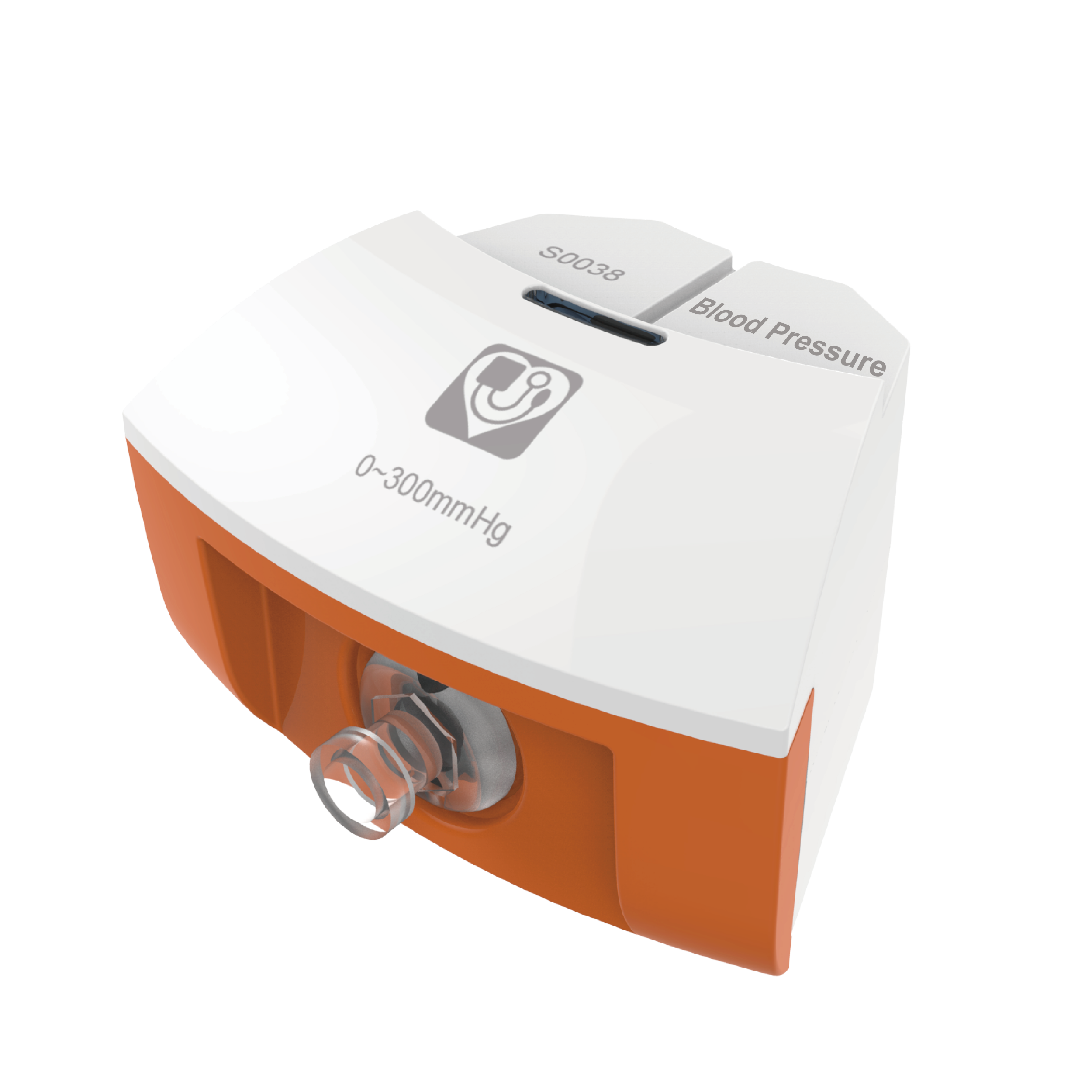 Blood Pressure Sensor