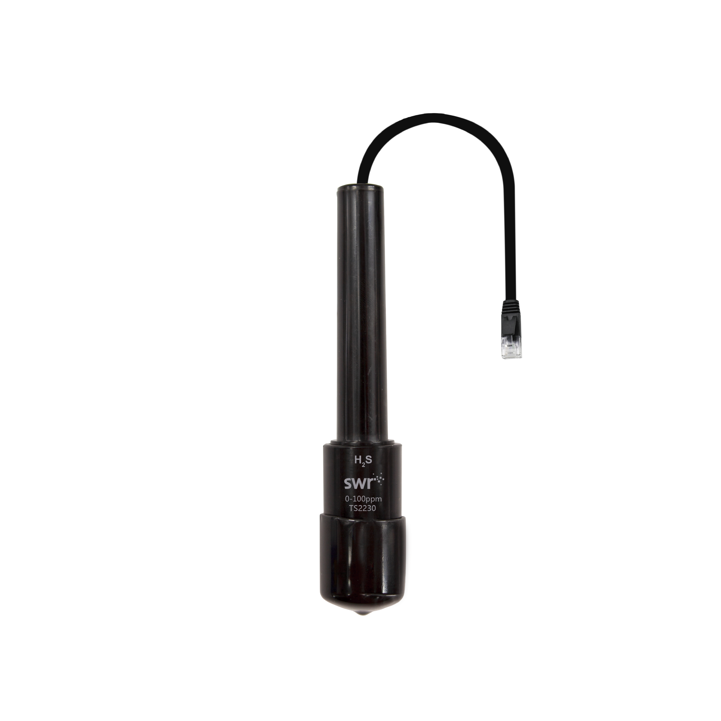 H2S Sensor