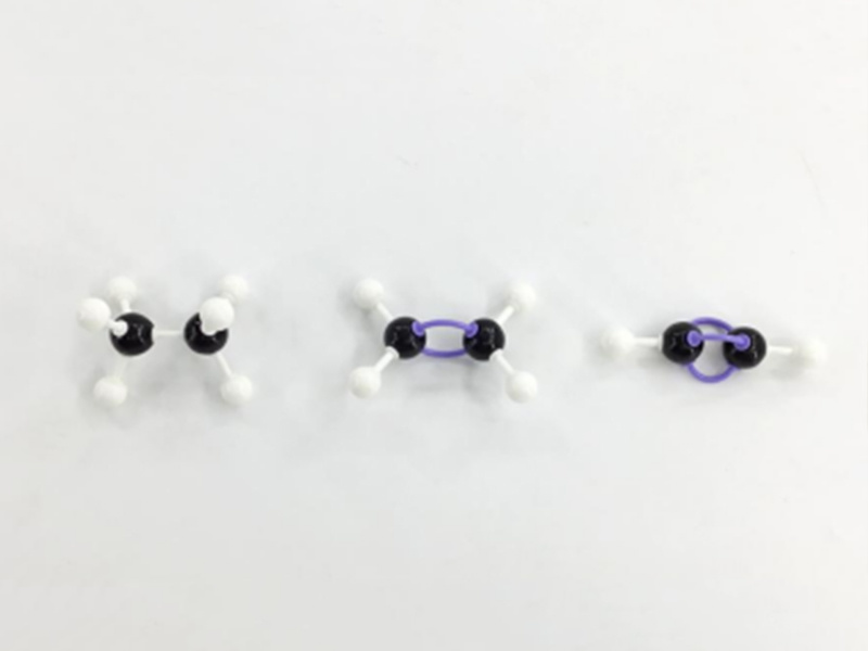 搭建球棍模型认识有机化合物分子结构的特点