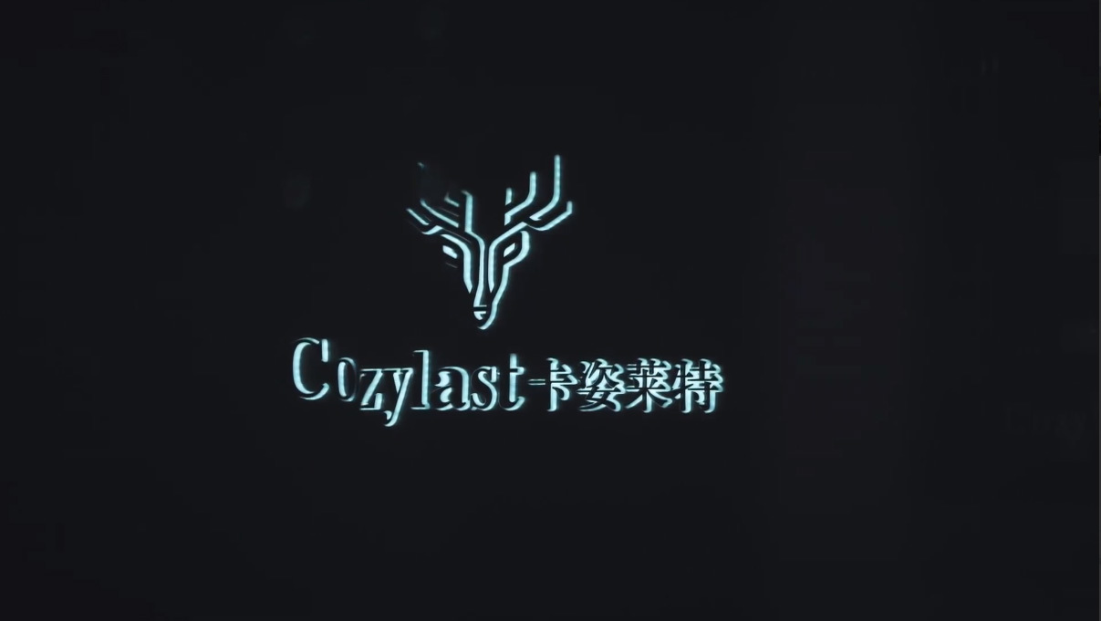 视频标题