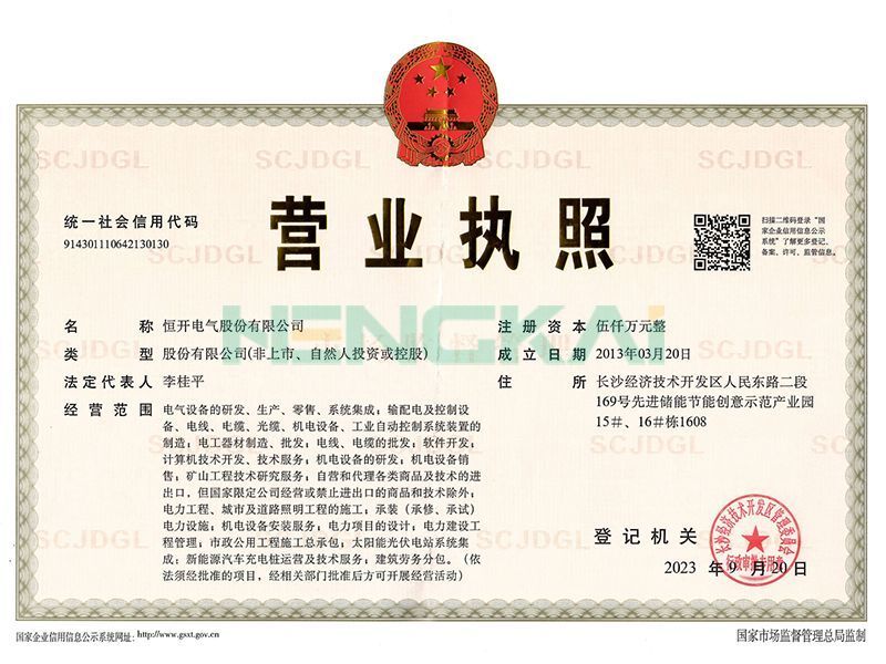 Business License