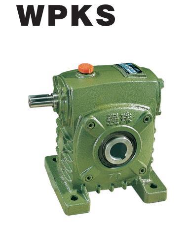 worm gearbox reducer